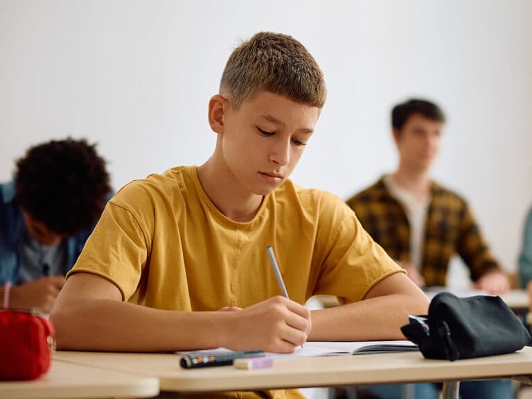 A Sylvan Learning tutoring session