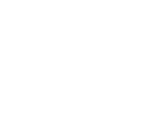 Premier Martial Arts
