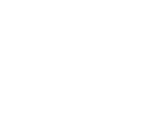 The Little Gym