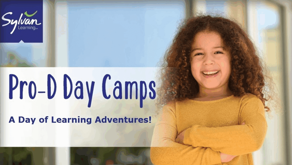 Pro-D website picture