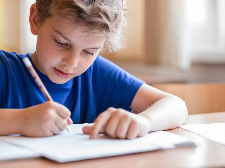 Young boy student doing homework